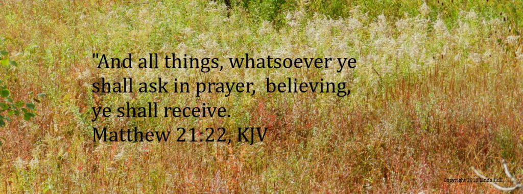 Matthew 21:22 KJV