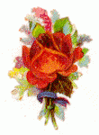 jpflower6