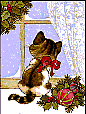 kittencard4
