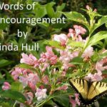 cropped-Logobutterflyflowercrop.jpg